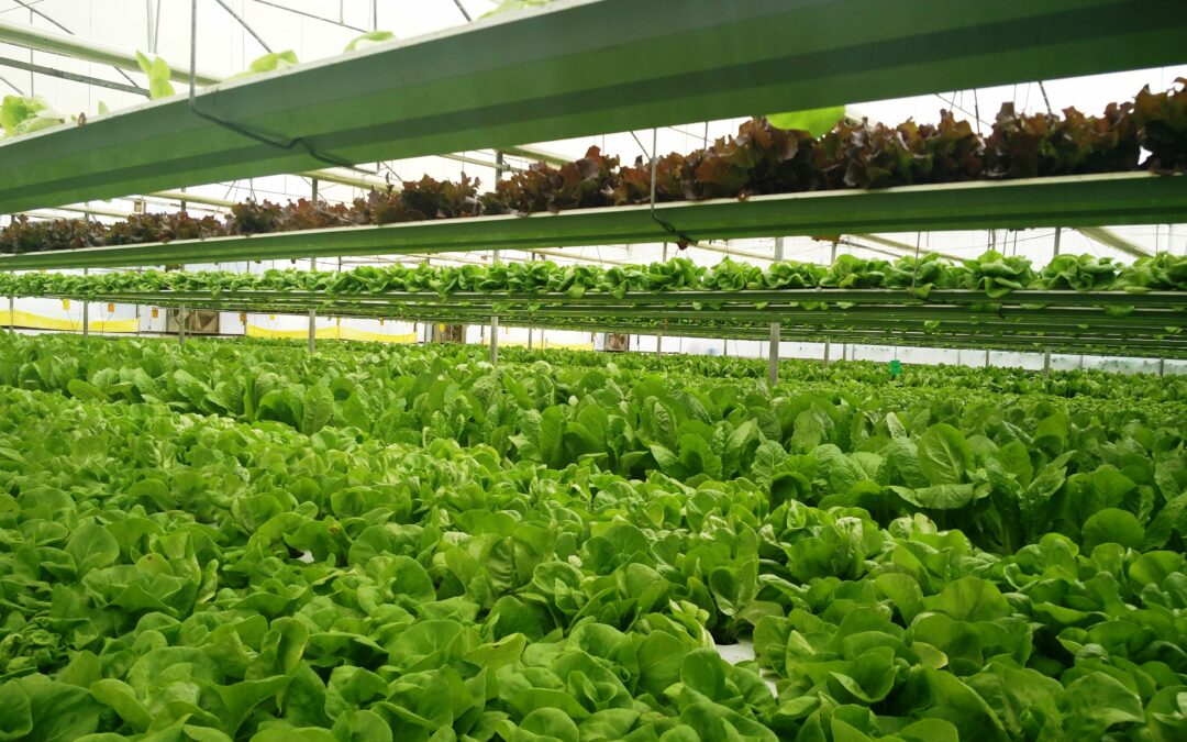 Wal-Mart to Buy More Local Produce