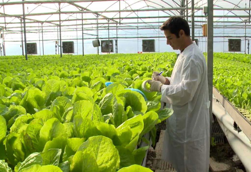 First Project in the East Coast